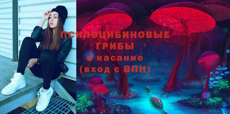 OMG вход  Зарайск  Галлюциногенные грибы MAGIC MUSHROOMS  даркнет сайт 